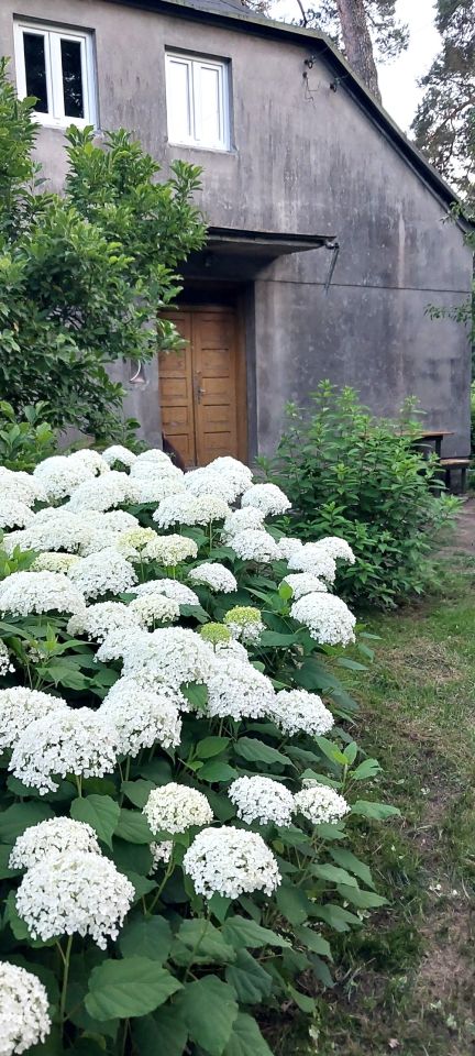 dom wolnostojący, 3 pokoje Łask Kolumna-Las, ul. Lubelska. Zdjęcie 16