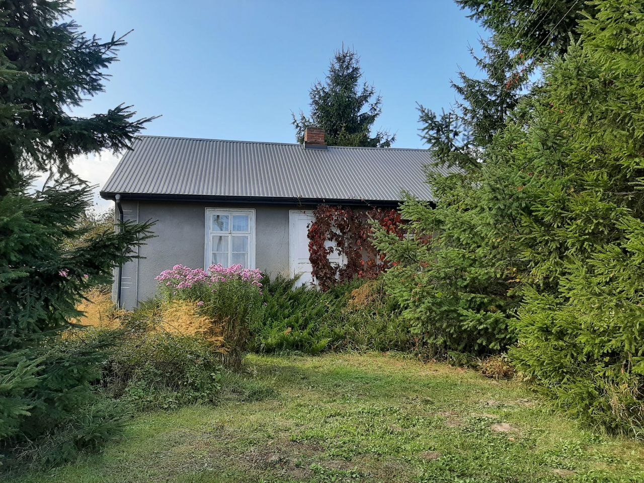 gospodarstwo, 2 pokoje Izdebno-Kolonia. Zdjęcie 1