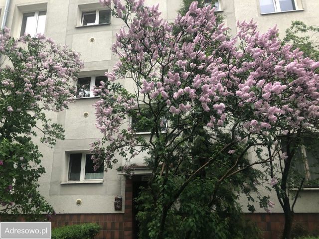 Mieszkanie 3-pokojowe Warszawa Mokotów, ul. Iwicka. Zdjęcie 1