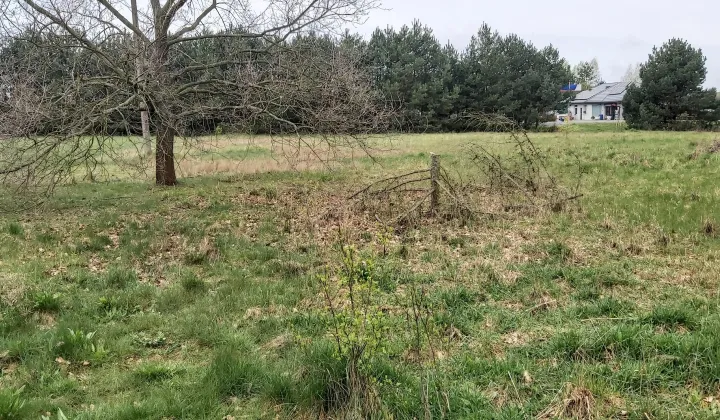 Działka rolno-budowlana Wola Rogozińska