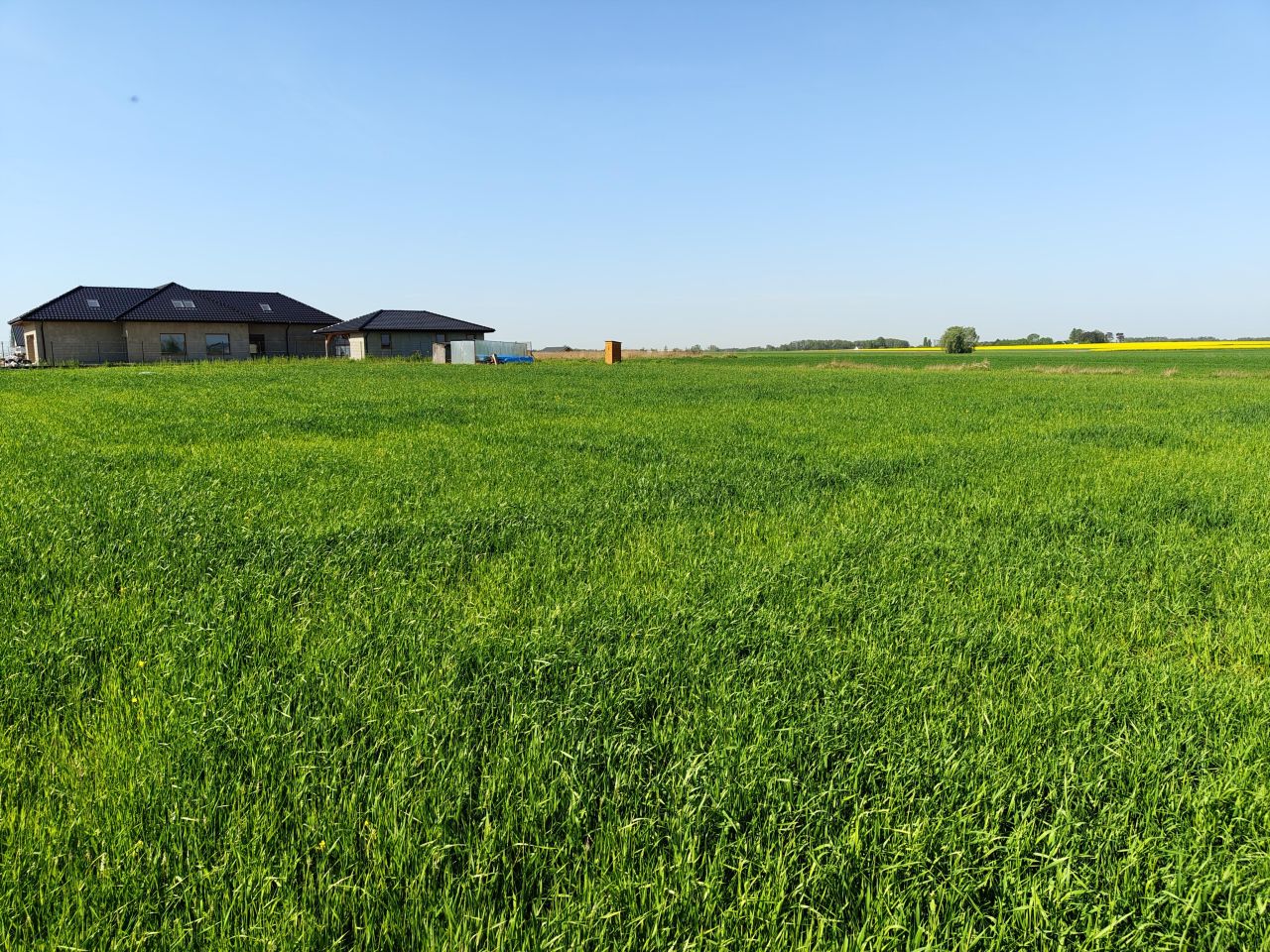 Działka siedliskowa Szerominek. Zdjęcie 10