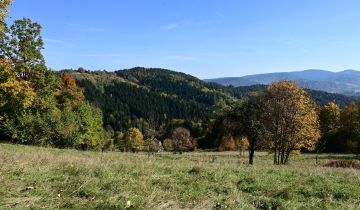 Działka rolno-budowlana Kuków