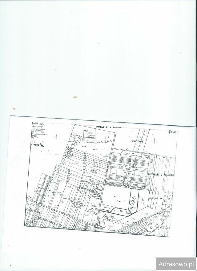 Działka inwestycyjna Wieska-Wieś. Zdjęcie 2