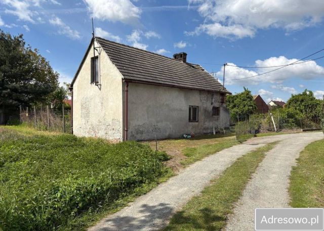 dom wolnostojący Domanowice. Zdjęcie 1