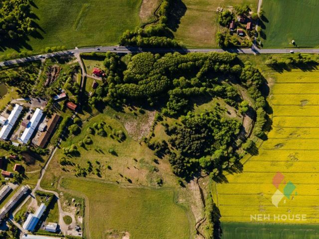 Działka rolna Tomaryny. Zdjęcie 8