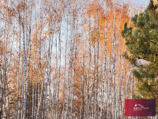 Działka budowlana Nowomłyny. Zdjęcie 11