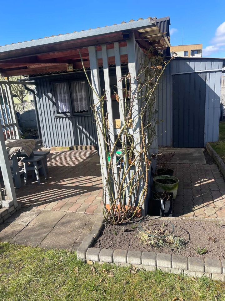 Działka rod Zawiercie Centrum. Zdjęcie 4