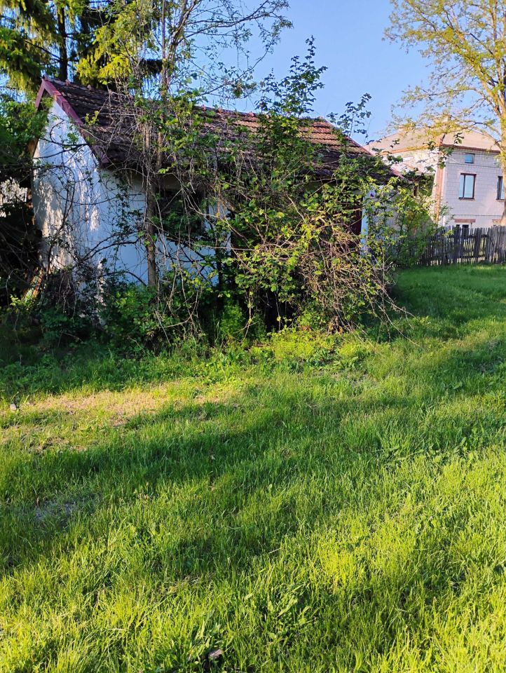 siedlisko Kolczyn. Zdjęcie 3