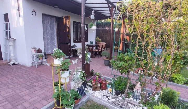 Działka rod Chorzów, ul. Polna