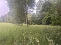 Działka rolno-budowlana Bobrownik. Zdjęcie 2