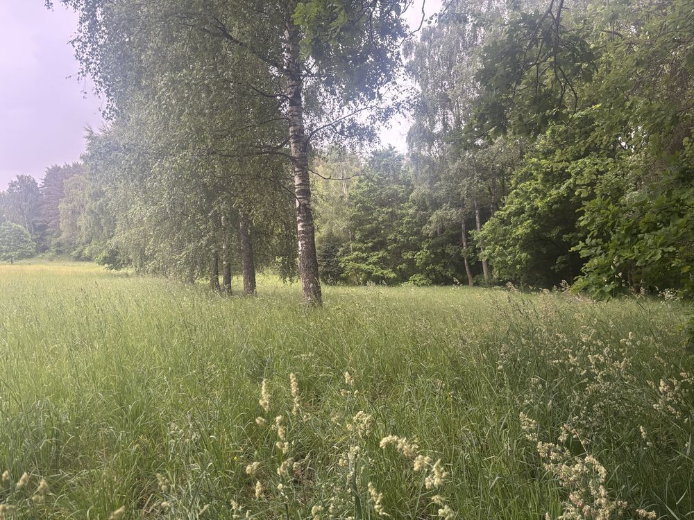 Działka rolno-budowlana Bobrownik. Zdjęcie 3