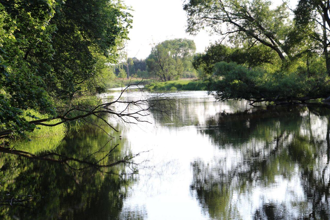 Działka budowlana Troniny, ul. Akacjowa. Zdjęcie 17