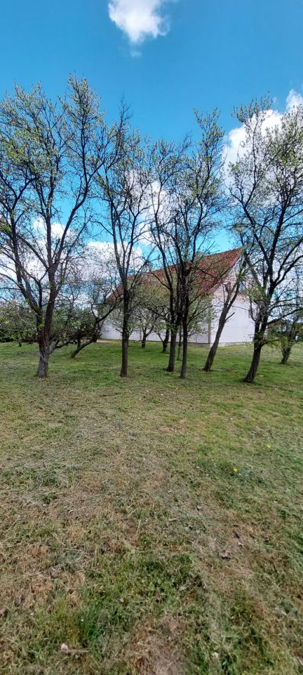 dom wolnostojący Dziśnity. Zdjęcie 9