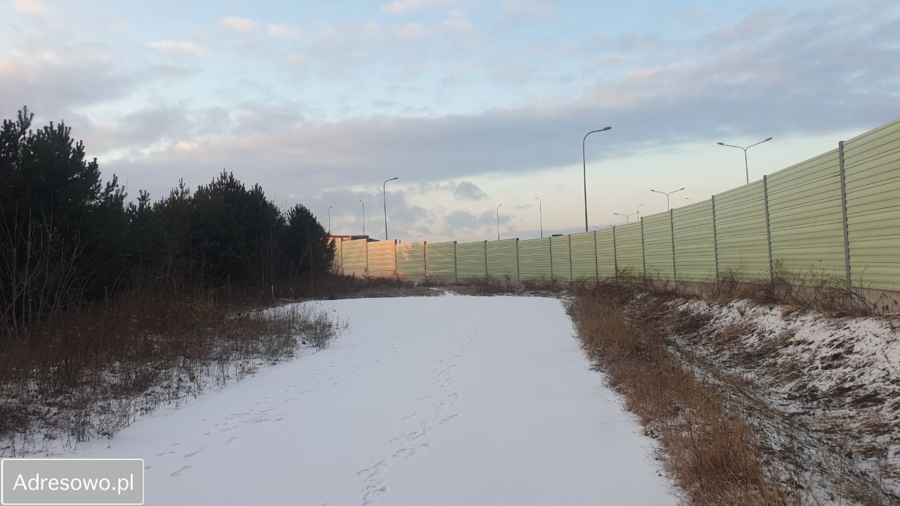 Hala/magazyn Krogulcza Sucha. Zdjęcie 15