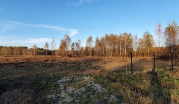 Działka siedliskowa Oddział, ul. Zagrodowa