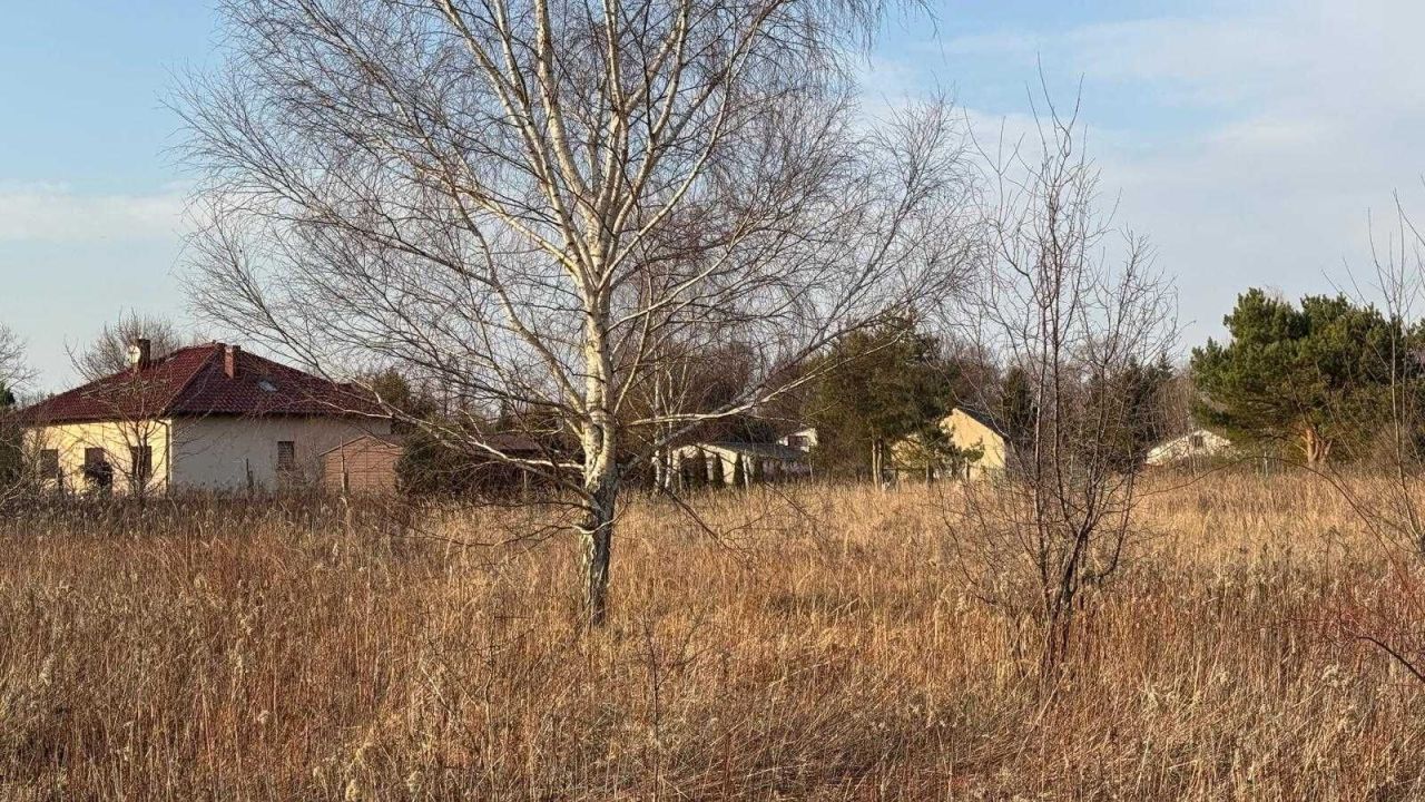 Działka rolno-budowlana Miodary, ul. Rumiankowa. Zdjęcie 3