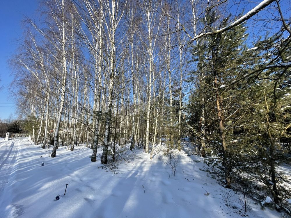 Działka budowlana Górki, ul. Krótka. Zdjęcie 7