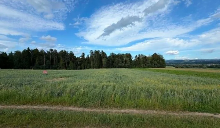 Działka rolno-budowlana Skawa