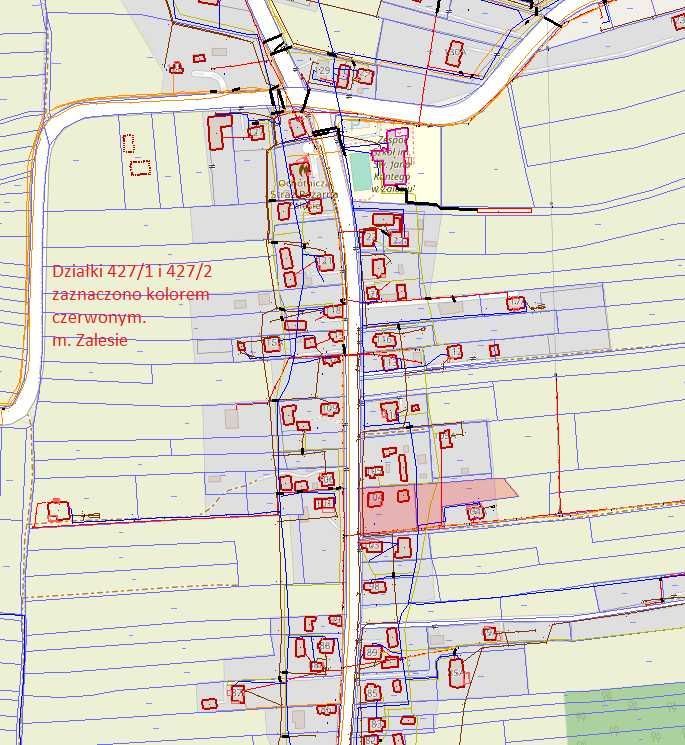 Działka budowlana Zalesie. Zdjęcie 4
