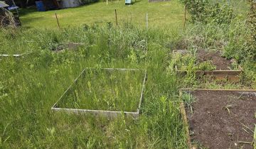 Działka rod Iwiny, ul. Polna