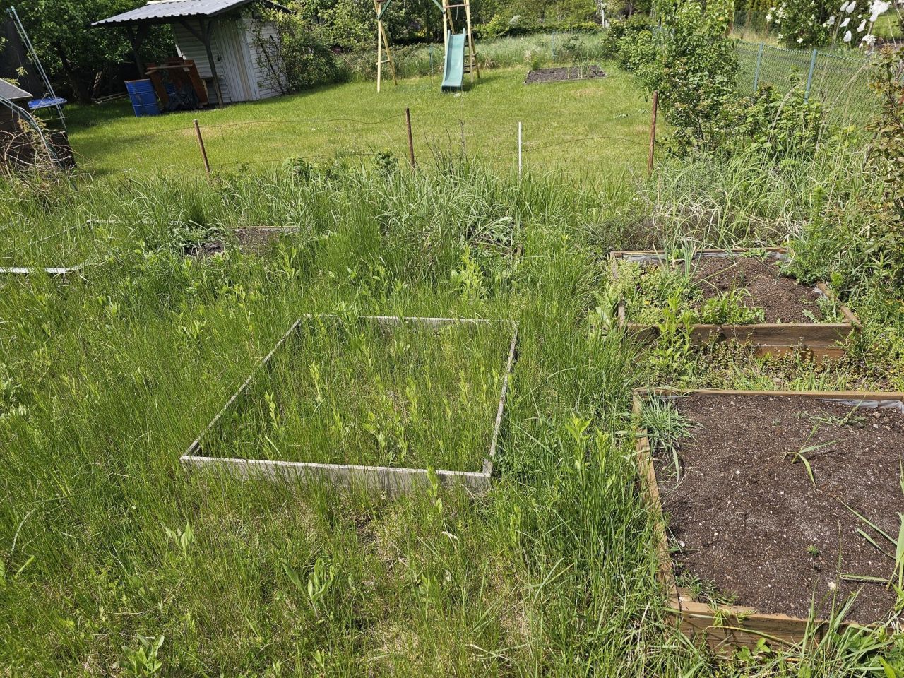 Działka rod Iwiny, ul. Polna. Zdjęcie 2