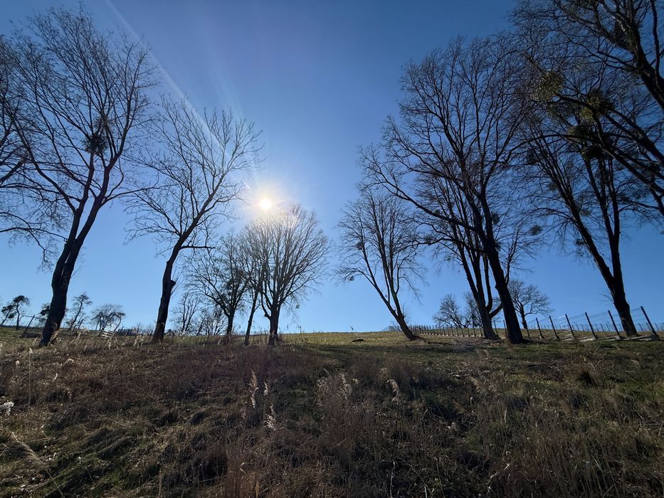 Działka budowlana Bartąg. Zdjęcie 2