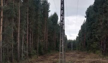 Działka leśna Kamień Śląski