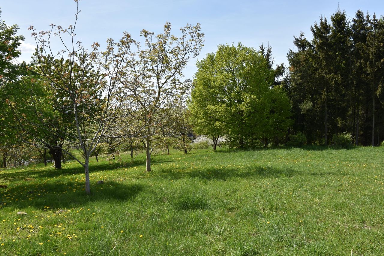 dom wolnostojący, 5 pokoi Ścienne. Zdjęcie 41