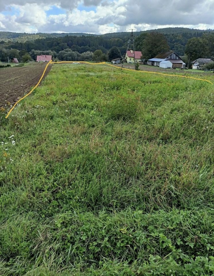 Działka budowlana Słonne. Zdjęcie 5