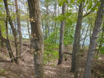 Działka rekreacyjna Jeleń. Zdjęcie 1