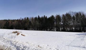 Działka budowlana Czarnorzeki