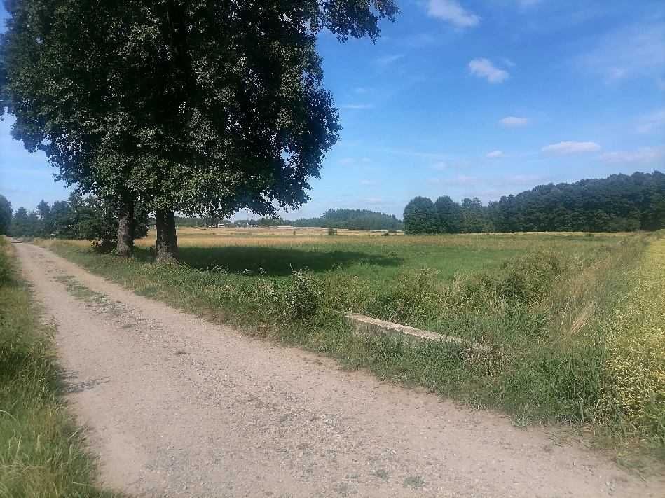 Działka rolno-budowlana Młodocin Większy. Zdjęcie 8