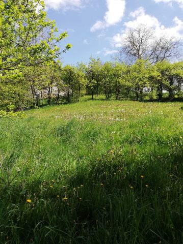 Działka budowlana Poznachowice Górne. Zdjęcie 1