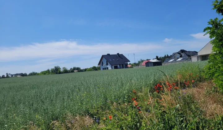 Działka budowlana Cedynia, ul. Kolonia