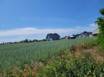 Działka budowlana Cedynia, ul. Kolonia