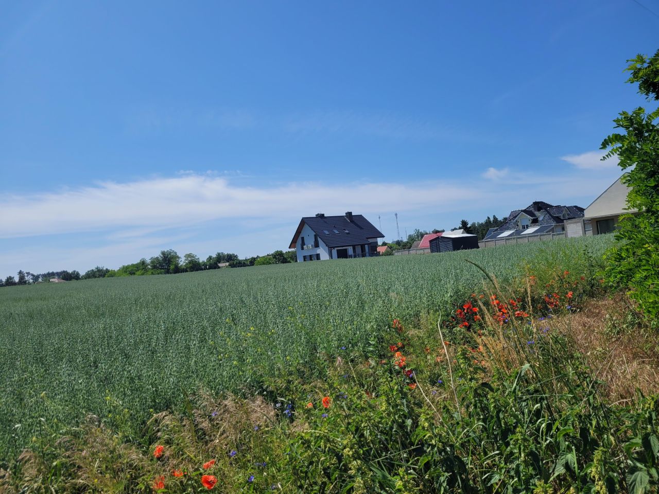 Działka budowlana Cedynia, ul. Kolonia