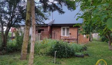 bliźniak Janoszyce