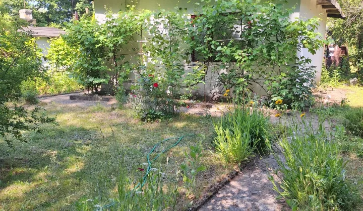 Działka rod Świdnica Łochowo, ul. Wypoczynek