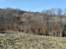 Działka budowlana Bieńkówka. Zdjęcie 1