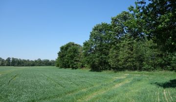 Działka rolna Ochaby Małe Bagna