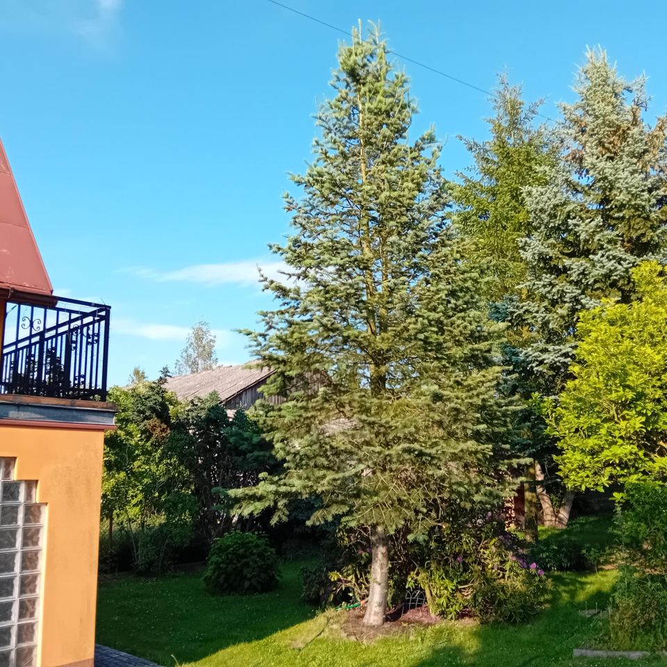 dom wolnostojący, 5 pokoi Grabina Radziwiłłowska, ul. Duża. Zdjęcie 16