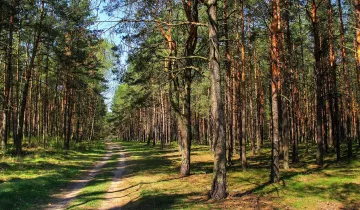 Działka na sprzedaż bez pośredników          
          
            Kunów - Widok 6