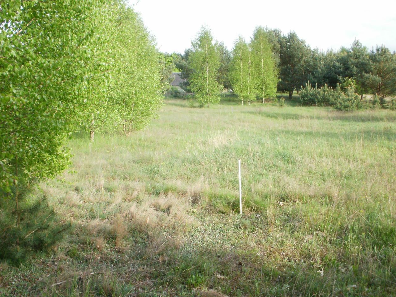 Działka rolno-budowlana Godzimierz. Zdjęcie 5