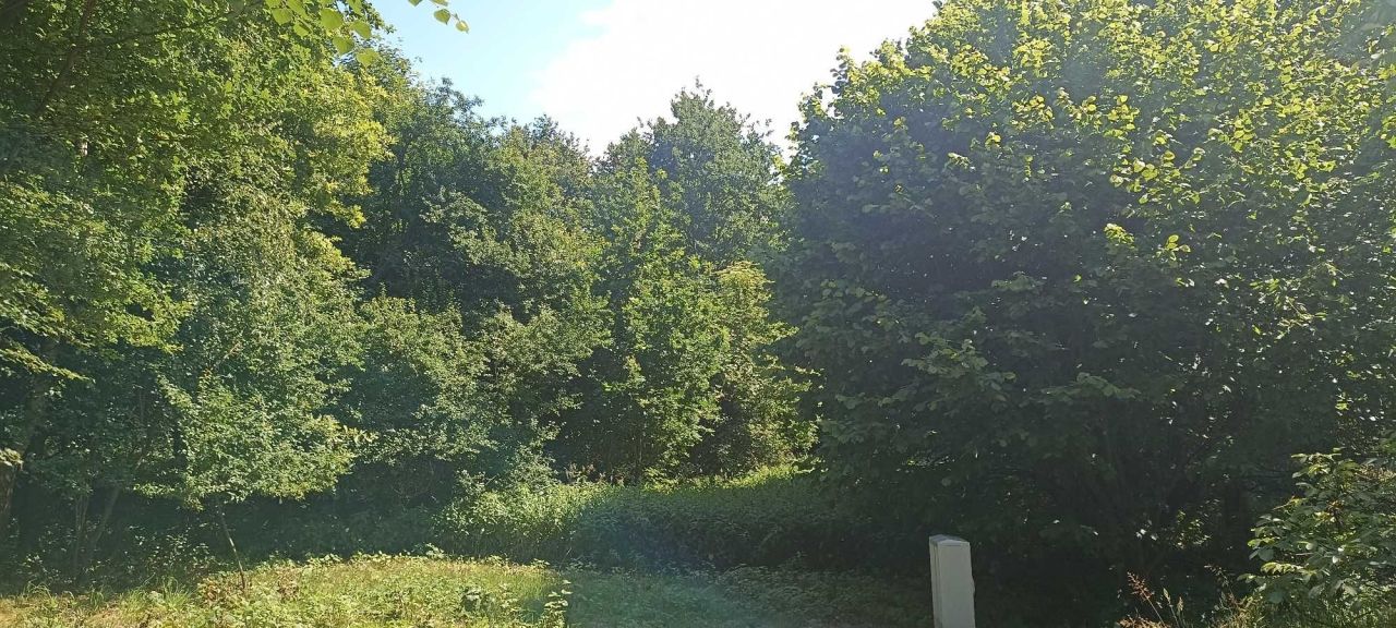 Działka siedliskowa Borkowice. Zdjęcie 2