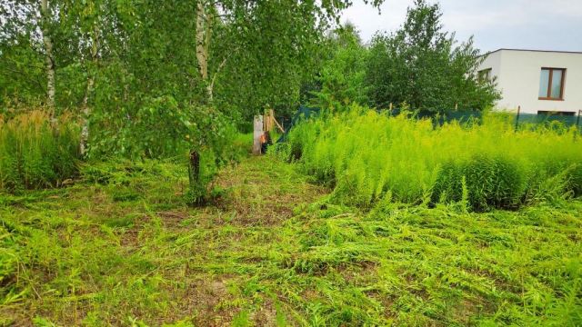 Działka budowlana Józefów. Zdjęcie 8