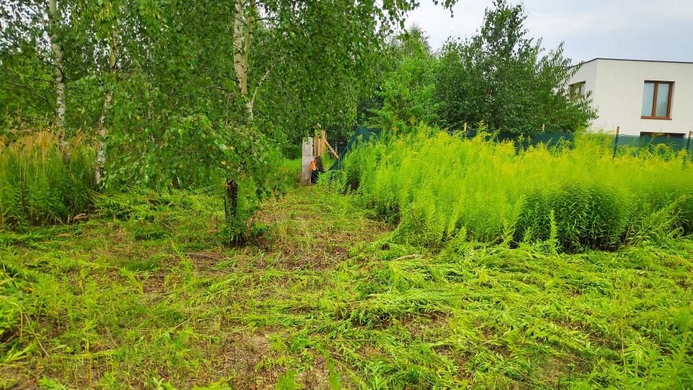 Działka budowlana Józefów. Zdjęcie 8
