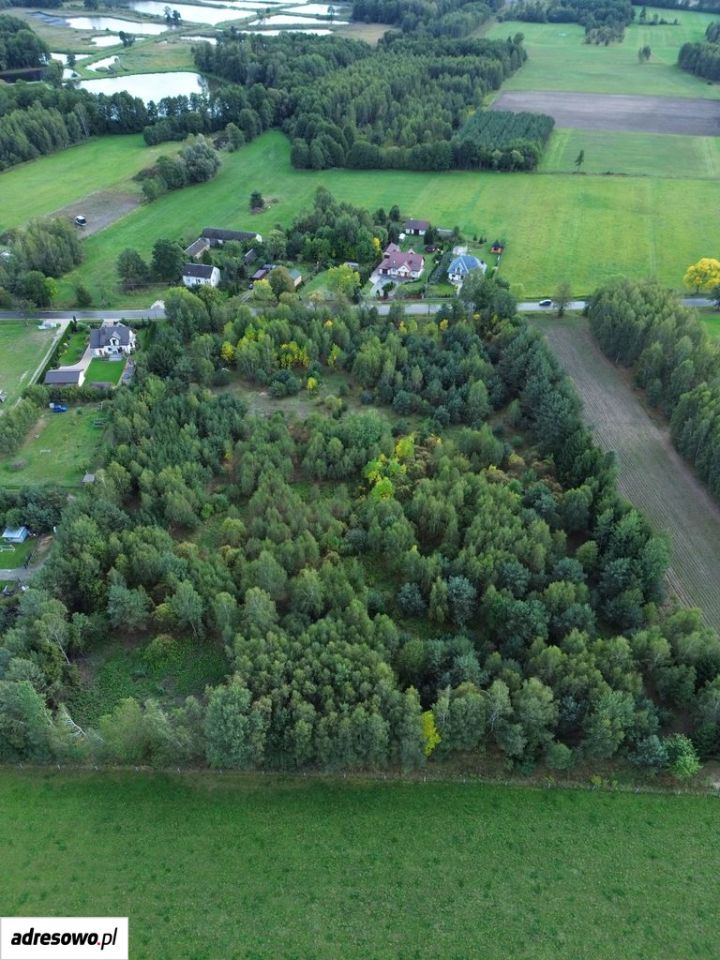 Działka inwestycyjna Zalesie. Zdjęcie 7