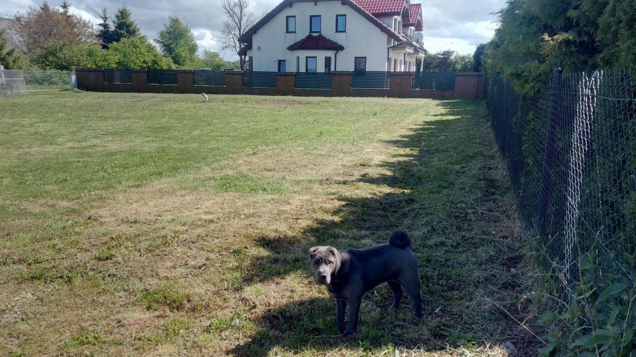 Działka budowlana Dobiesławiec. Zdjęcie 8