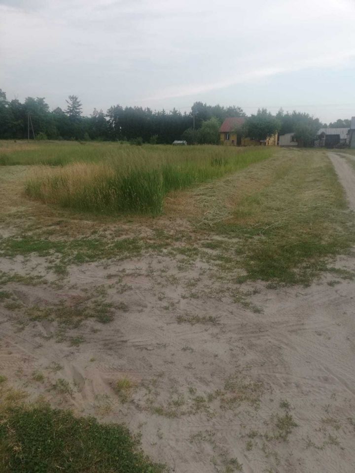 Działka rolno-budowlana Regów Nowy. Zdjęcie 3