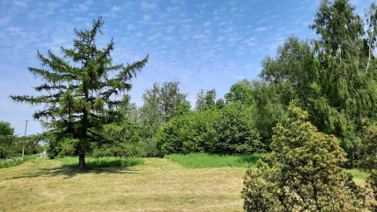 Działka budowlana Izbica. Zdjęcie 7